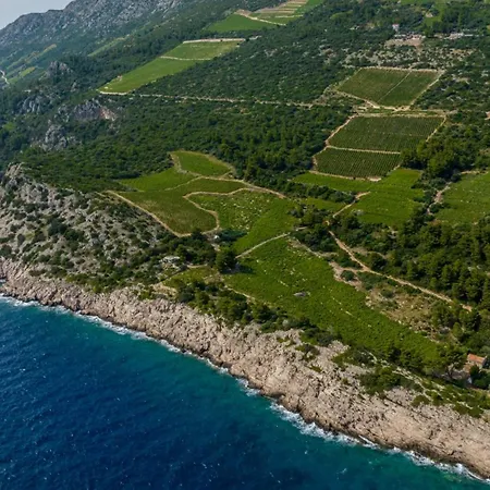 Modern Luce With Sea View In Peljesac Villa *